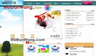 娱乐吃瓜模板下载百度云